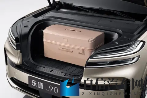 买五台国产新能源,能凑出一套房?-1