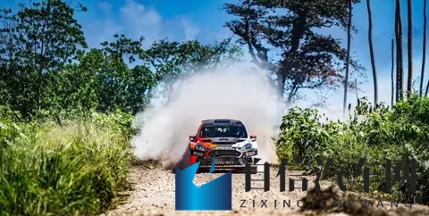 李蓉蓉黑人：独特设计引领潮流，环保汽车销量攀升-3