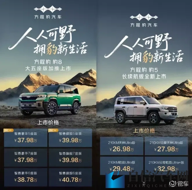 两人打扑克剧烈运动：扑克游戏激烈，心跳加速两相宜-1