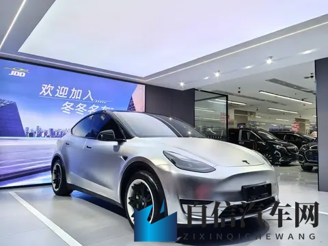 15万多拿下特斯拉Model Y，圆你电车梦？-3