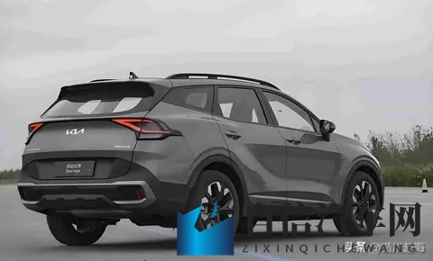 婷婷五月天丁香花：五月婷婷映丁香，花开共赏好时光-3