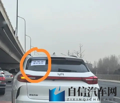 星空无限mv剧董小宛:星空映照董小宛传奇人生-2