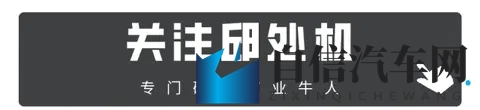 最低价499万，刘强东搅动车市风云-2
