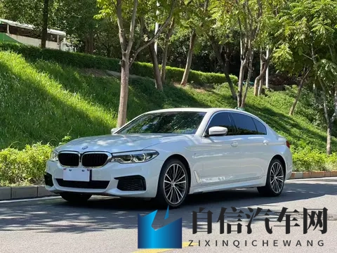 几个油钱就能圆梦?20款宝马530Li,通勤代步好选择-1
