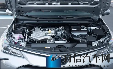 双动力选择，卡罗拉多版本配置解析，哪一款更值得选择？-1