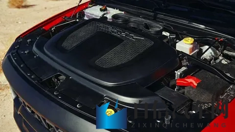 中国体育生男自慰：体育生压力缓解，揭秘男自慰现象-2