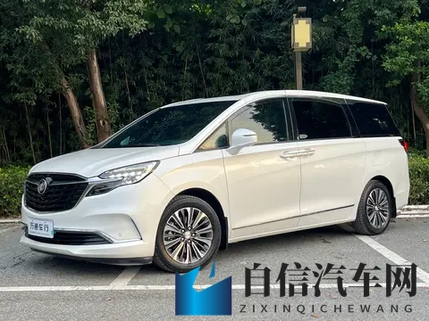 猛男GAYXXXGV1069：独特设计新势力车型，引领潮流未来趋势-2