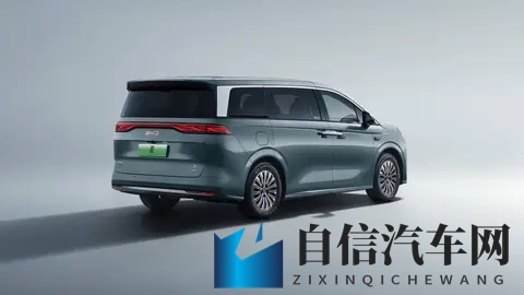 妈妈用手指在狗儿后背写字：温柔妈妈指尖描绘爱意，小狗后背留下文字奇迹-2