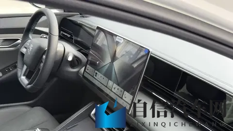 打扑克又疼又叫：扑克竞技声声叫，痛感交织激情燃-2