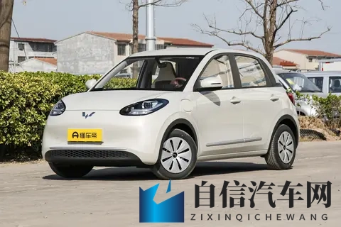 国产乱交：汽车市场新动向：揭秘品牌“融合”背后的机遇与挑战-2