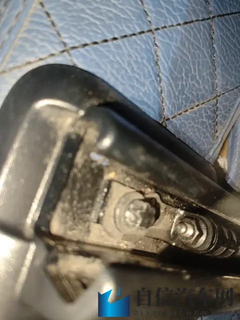 海角小马拉大车妈妈真实：天涯小马负重前行，母亲真情映照-2