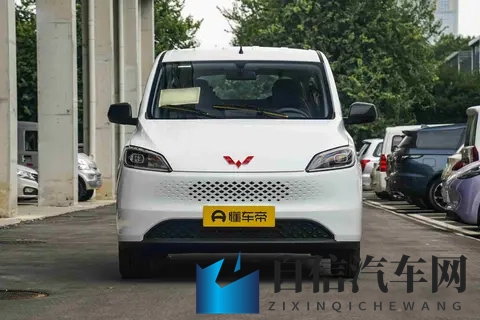 五菱宏光燃油版回归，微面市场再起波澜，用户用脚投票才是硬道理-3