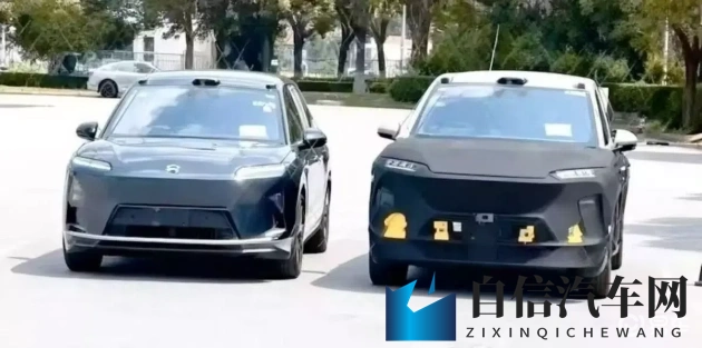 解剖分尸血腥网站：人体解剖揭秘，血腥画面引争议网站-2