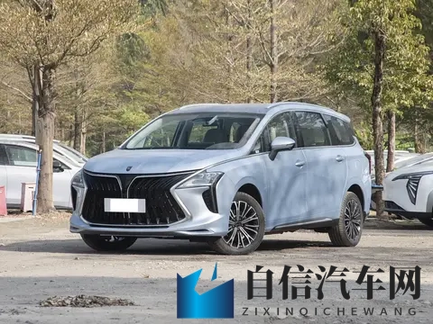 全新国产插混MPV上市！外观动感十足，15T插混，综合续航1300Km-2