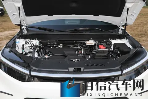 天天操天天插天天干：日复一日，激情不断，日夜兼程，乐此不疲-2