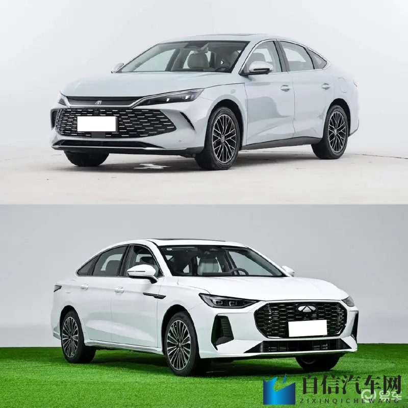 公与舒婷厨房猛烈出电影：舒婷携手公子，厨房激情制作新电影-1