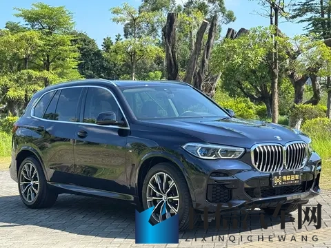 #准新车推荐#45万拿下宝马X5，体验速度与豪华！-3