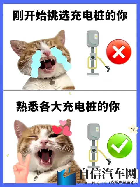 2025车检新政实测！15年以上老车免半年检，省千元成本-1