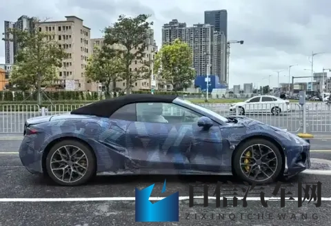 天天干天天舔：日复一日，沉迷其中，不懈追求-1