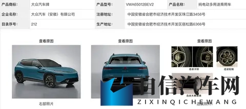 金标大众第二款车型亮相，销量依旧是最大障碍？-1