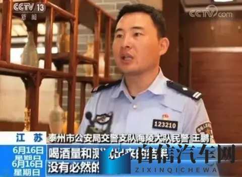 亚洲男人与雌性宠物交H2：汽车宠物新风尚：驾驶者宠爱宠物，科技生活升级-2