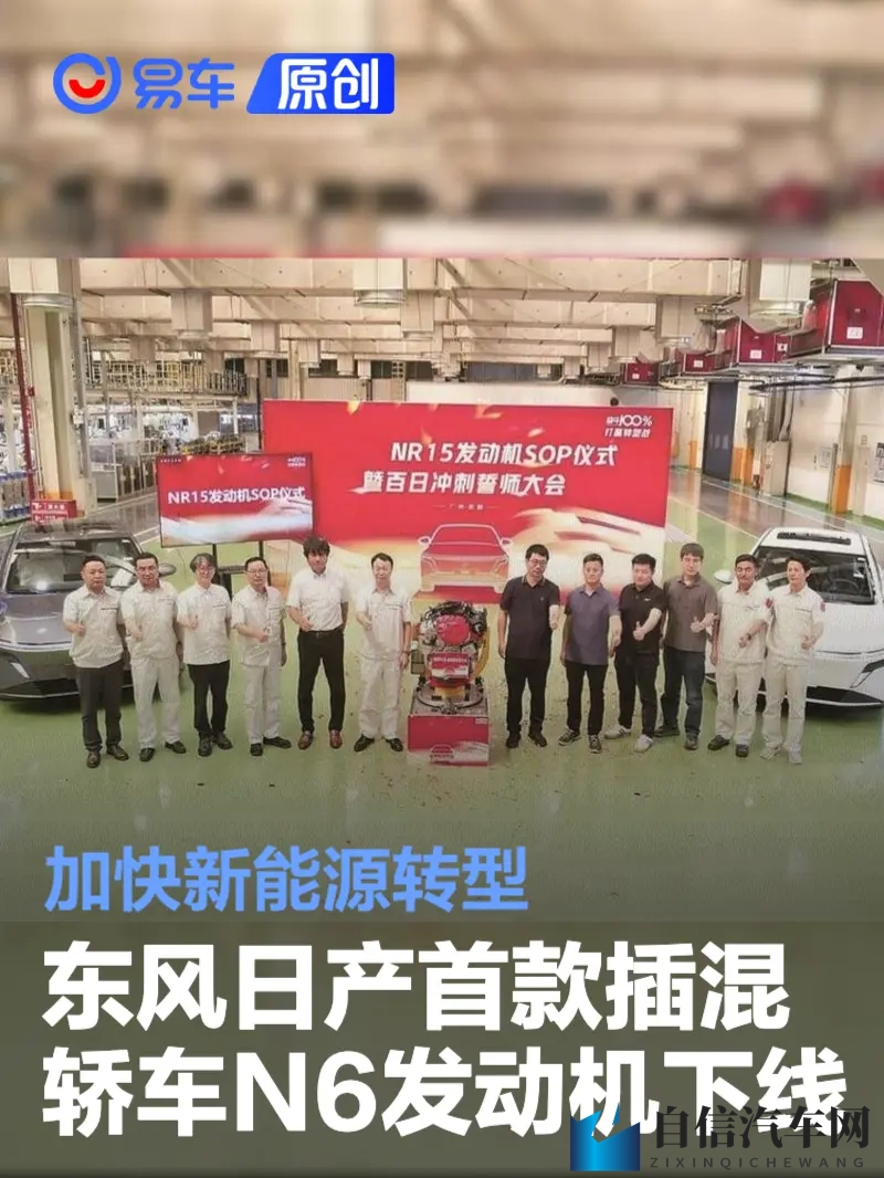 A片国产：国产汽车新势力崛起，引领潮流！-2