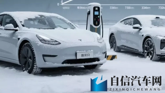 向日葵视频色：视频世界里的色彩盛宴-1