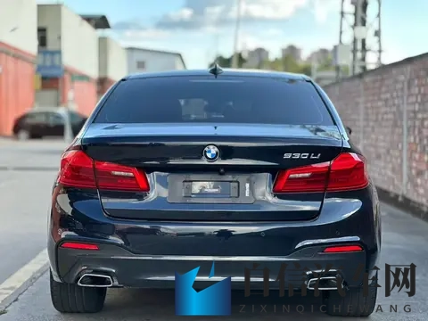 16万多拿下二手宝马5系：2019款530Li，圆你蓝天白云梦-3