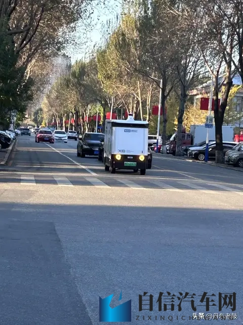 商务旅行中戴绿色帽子的女老板同行台词：女老板绿色出行心得：新能源汽车驾驶技巧揭秘-2