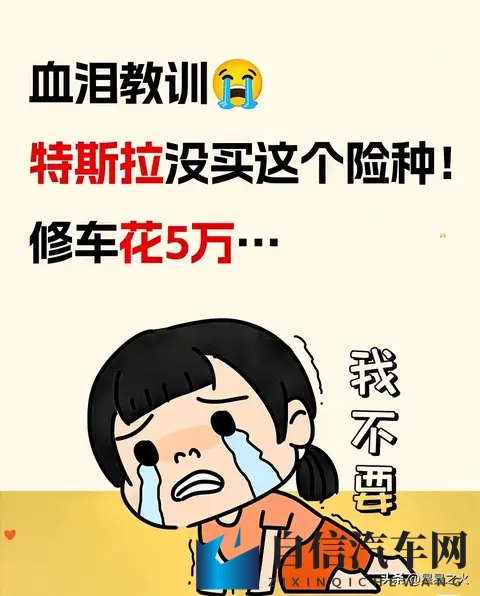 特斯拉车主血泪教训！漏买1个险，修车自费5万-1