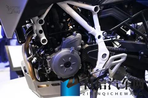 天天激情：激情燃烧每一天，活力四溢乐无边-3