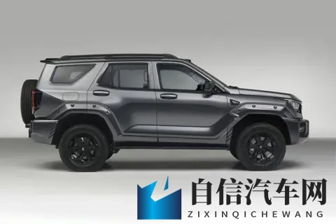 海角小马拉大车妈妈真实：海角之地母爱深沉，小马负重任纪实感人-2