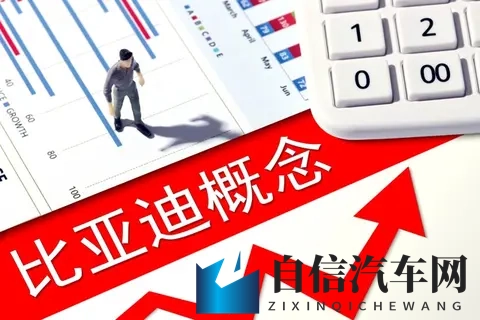 这里有精品：精选汇聚，品质之选-2