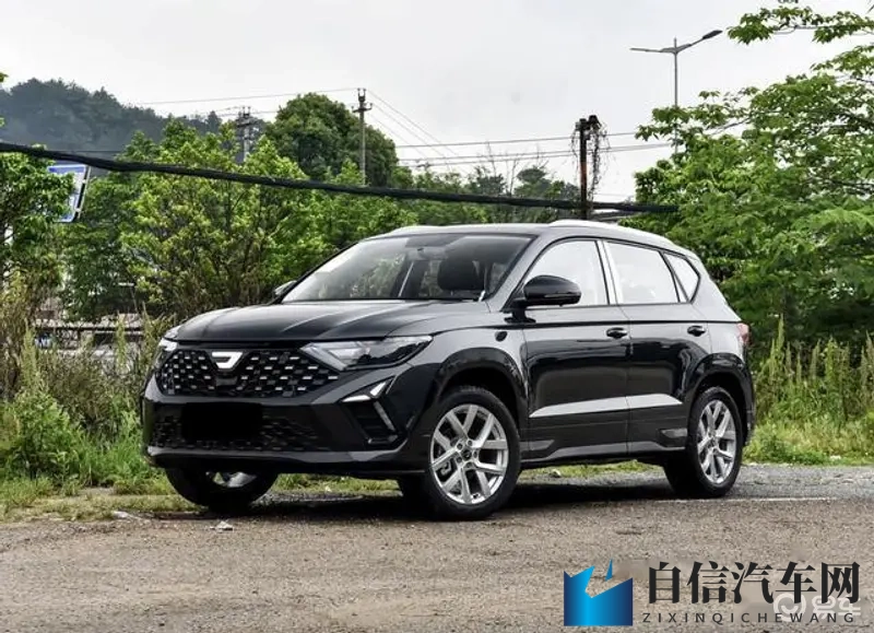 榴莲视频网站：榴莲影视，尽享视听盛宴-2