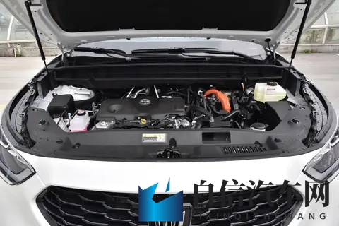 蜜股av：探寻股市中的甜蜜奥秘，揭秘投资奥秘之旅-2