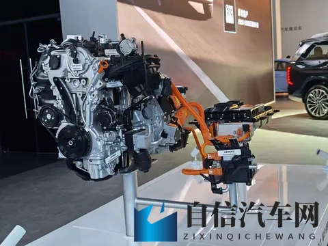 家庭 7 座务实选！帕里斯帝：10 气囊 + 1000km 续航，27 万进口够值吗？-2