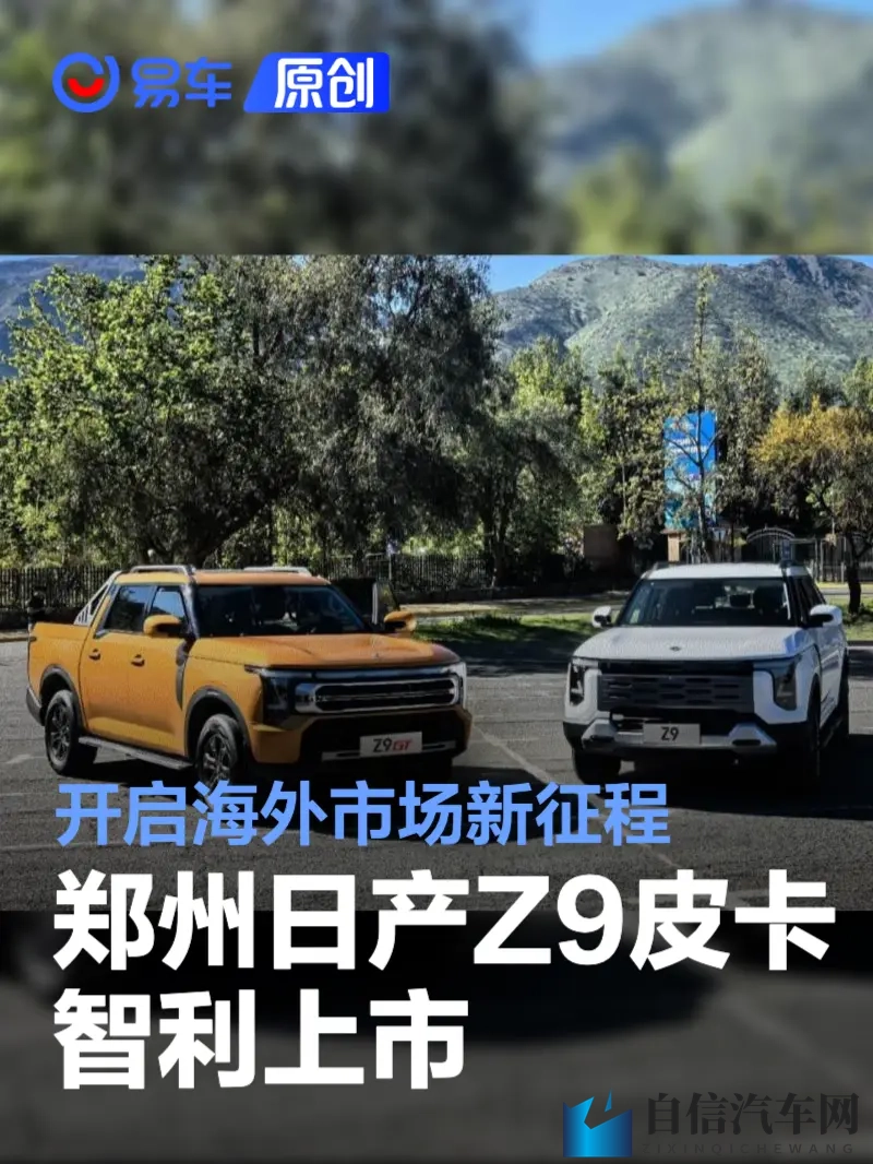 亚洲老妓女性浓毛茸茸：汽车市场新现象：揭秘亚洲消费者独特审美偏好-1