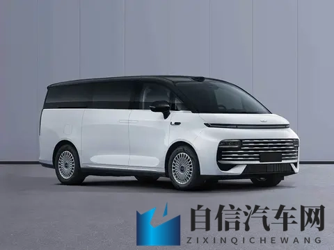 杭州湾埃尔法？疑似吉利新款MPV谍照曝光-3