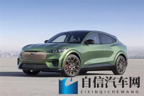 福特CEO：对特斯拉及中国造车新势力的领先水平感到惊讶-1