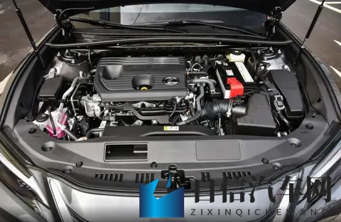 真有勇气,一个膜就贵128万,雷克萨斯ES 200特别版上市-1