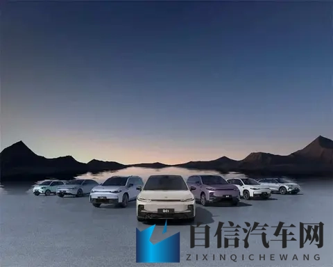 新能源车主喊贵，保险公司也头疼，这账到底怎么算的-1