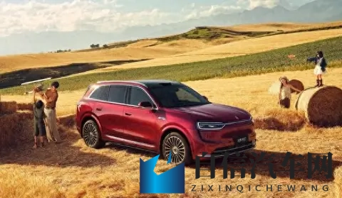 10月中国高端增程SUV市场销量排名：问界完全没对手-1