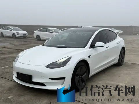 三年Model3，加速56秒，电车二手行情香不香？-1