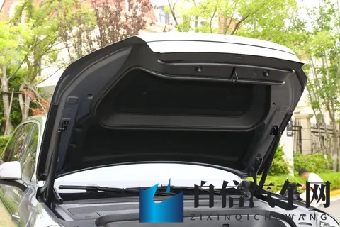 2+2+2座椅布局，轴距3110mm，900V快充+零重力座椅，租电降86万-3