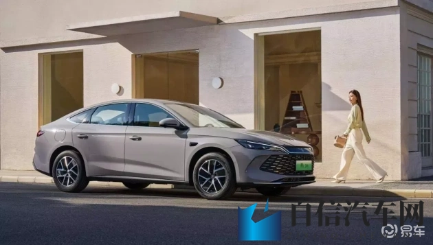 草莓丝瓜榴莲秋葵污无限看特色：多元果蔬，无限风味，特色佳肴任意尝-1