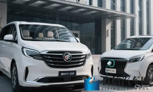 爱青岛vip地址：青岛爱VIP，官方入口速查-1