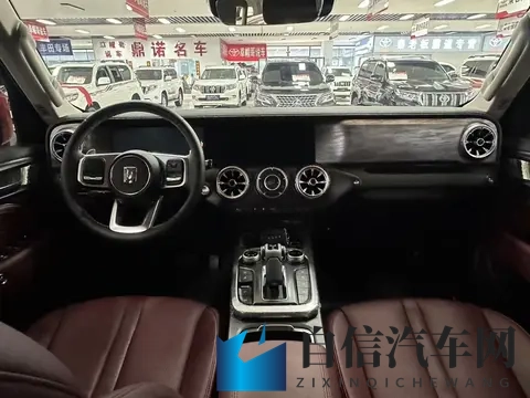 硬汉座驾，玩转越野，准新一手坦克300等你来征服！-1