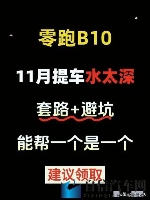 猫咪社区：宠物乐园里的喵星人聚集地-1