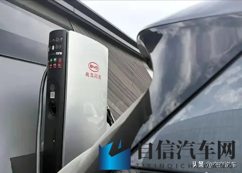 毛笔挠尿孔～啊快尿了：毛笔轻触敏感处，紧张感涌动，迫不及待想排泄-1