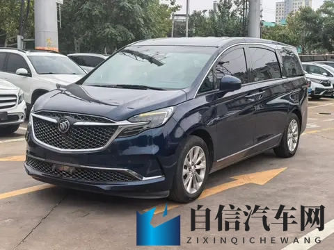 186万，宜商宜家之选，20款别克GL8Avenir四座版-3